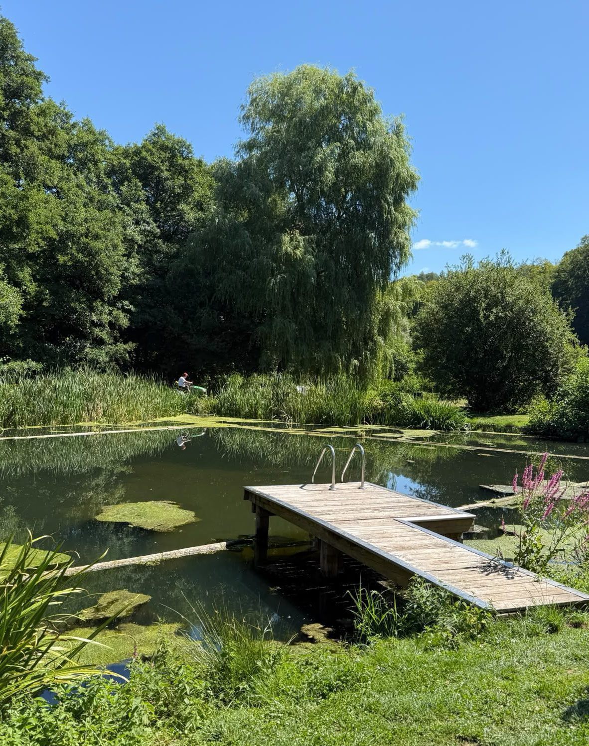 Badeteich im Sonnenschein