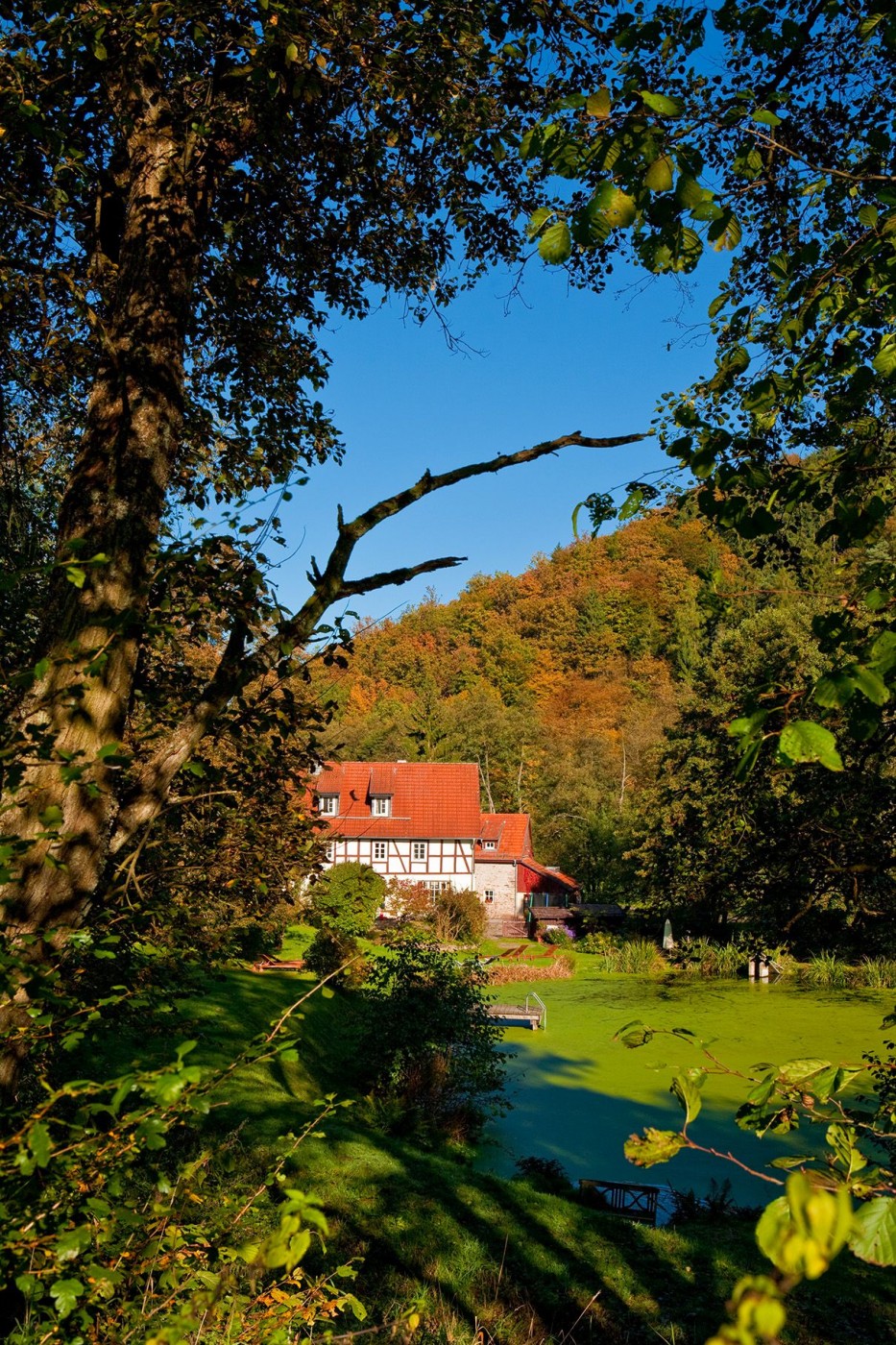 BÃ¤renmÃ¼hle - magischer Ort