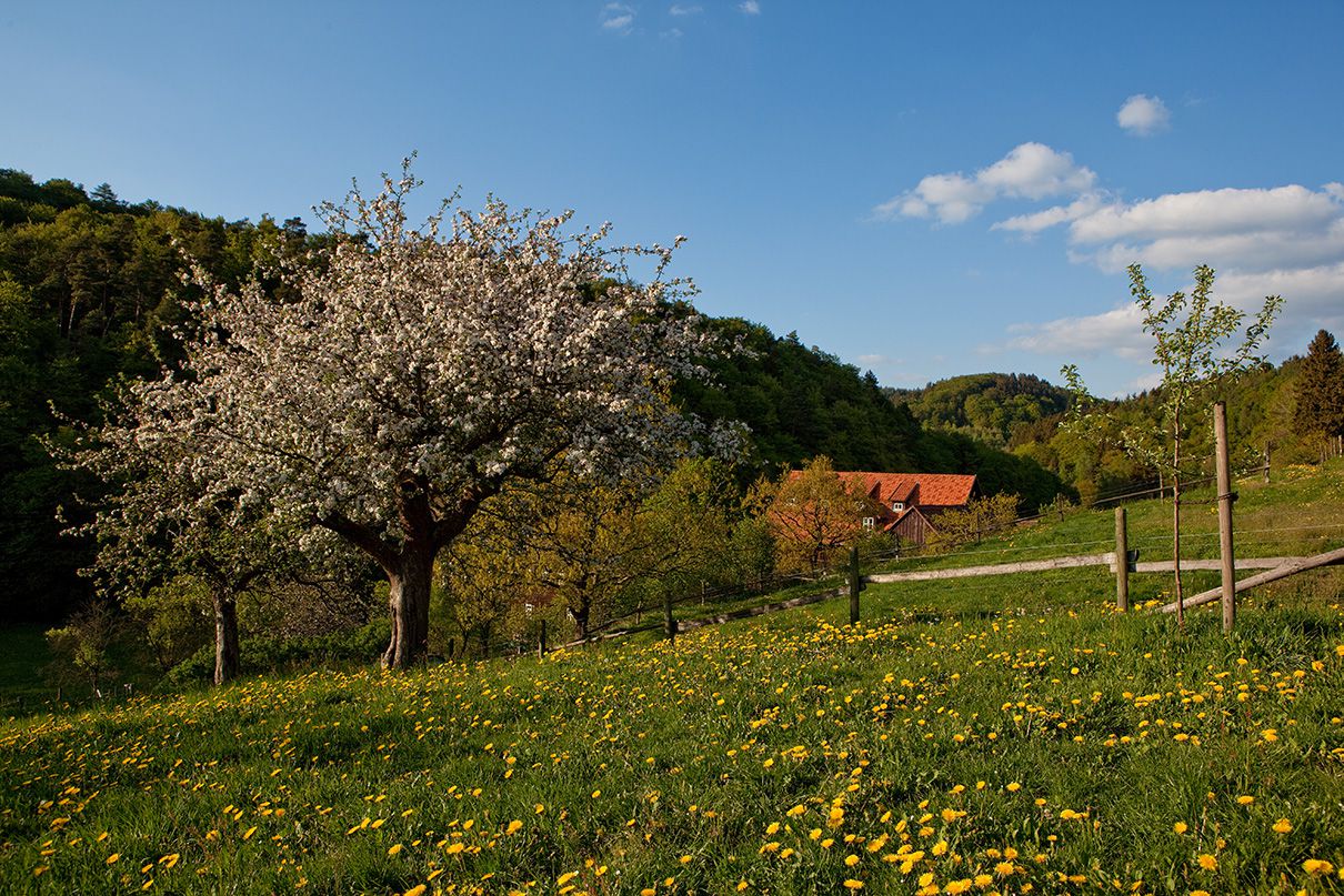 KuchenmÃ¼hle