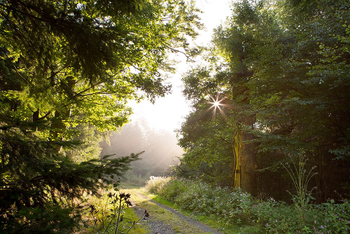 MÃ¼hlenwanderung im Lengeltal